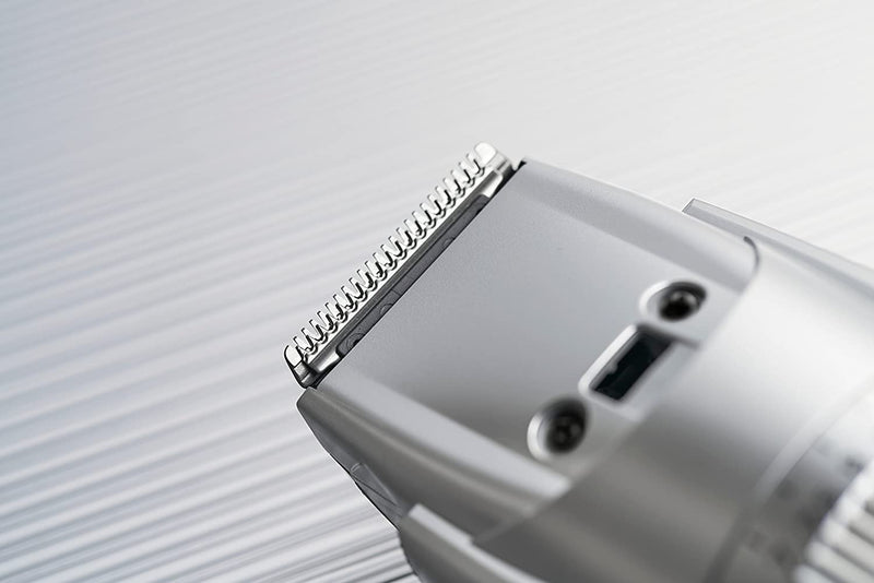 Panasonic ER-GB40 Wet/Dry Hair Men's Beard Trimmer silver
